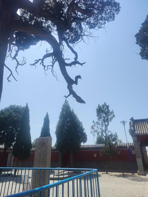 宁阳旅游景点众多，究竟哪里好玩值得一游呢？