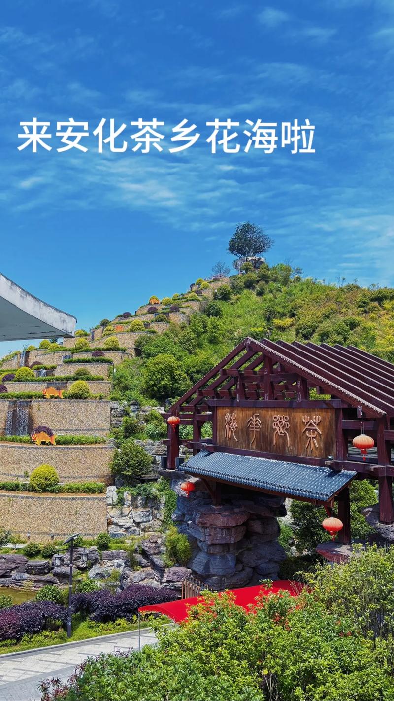 安化有哪些不容错过的好玩旅游景点呢？