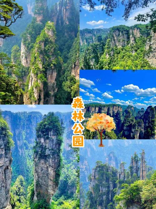 春季旅游，何处景致最佳？如何安排、准备最惬意？