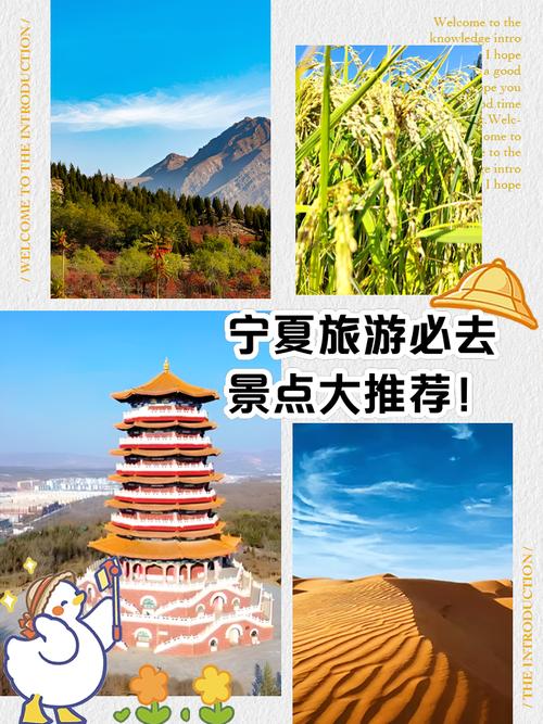 风格一，好奇探究型，- 宁夏哪座城市能登顶最佳旅游城市排名榜首？，- 宁夏最佳旅游城市排名中，哪城最具魅力夺魁？，- 宁夏最佳旅游城市排名里，哪座城市最值得一游？，风格二，引导讨论型，- 宁夏最佳旅游城市排名，大家觉得哪城该居前列？，- 对于宁夏最佳旅游城市排名，你认为哪座城市合理？，- 宁夏最佳旅游城市排名引发思考，哪座城市实至名归？