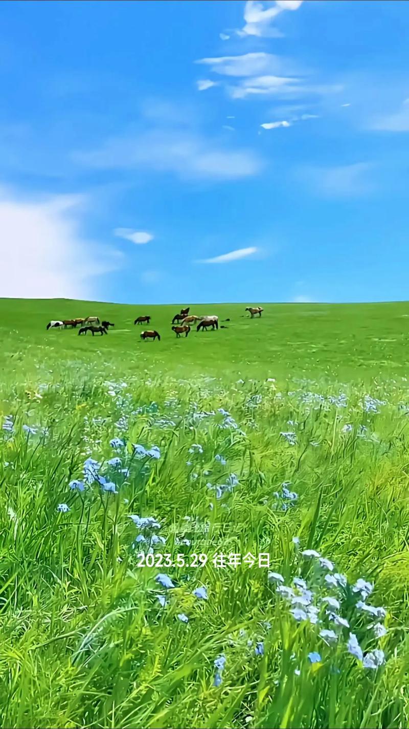 草原游，一场说走就走的心灵之旅