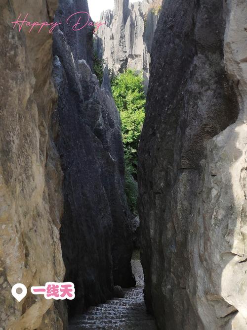 探秘常青旅游景点，自然与人文的奇妙交融