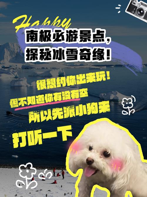 探索南极点，一场冰雪奇缘的极致之旅