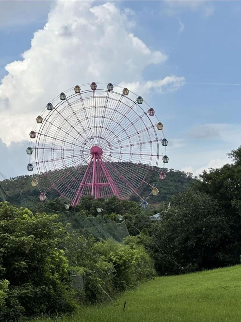江门旅游景点哪里好玩儿