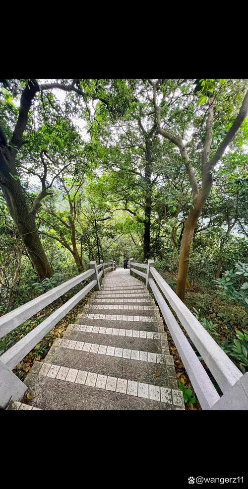广州哪里好玩和旅游景点推荐