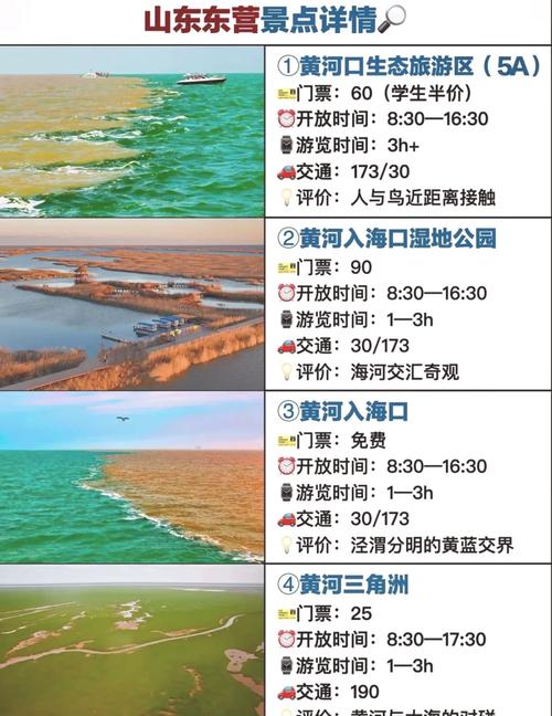 东营三日游旅游景点推荐路线