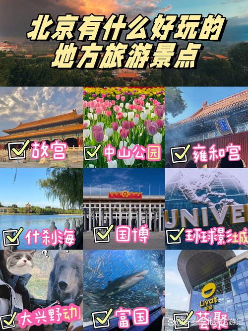 旅游景点在哪里找好玩的地方