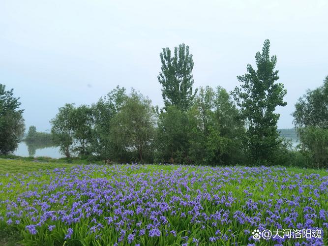 春天最好的旅游城市