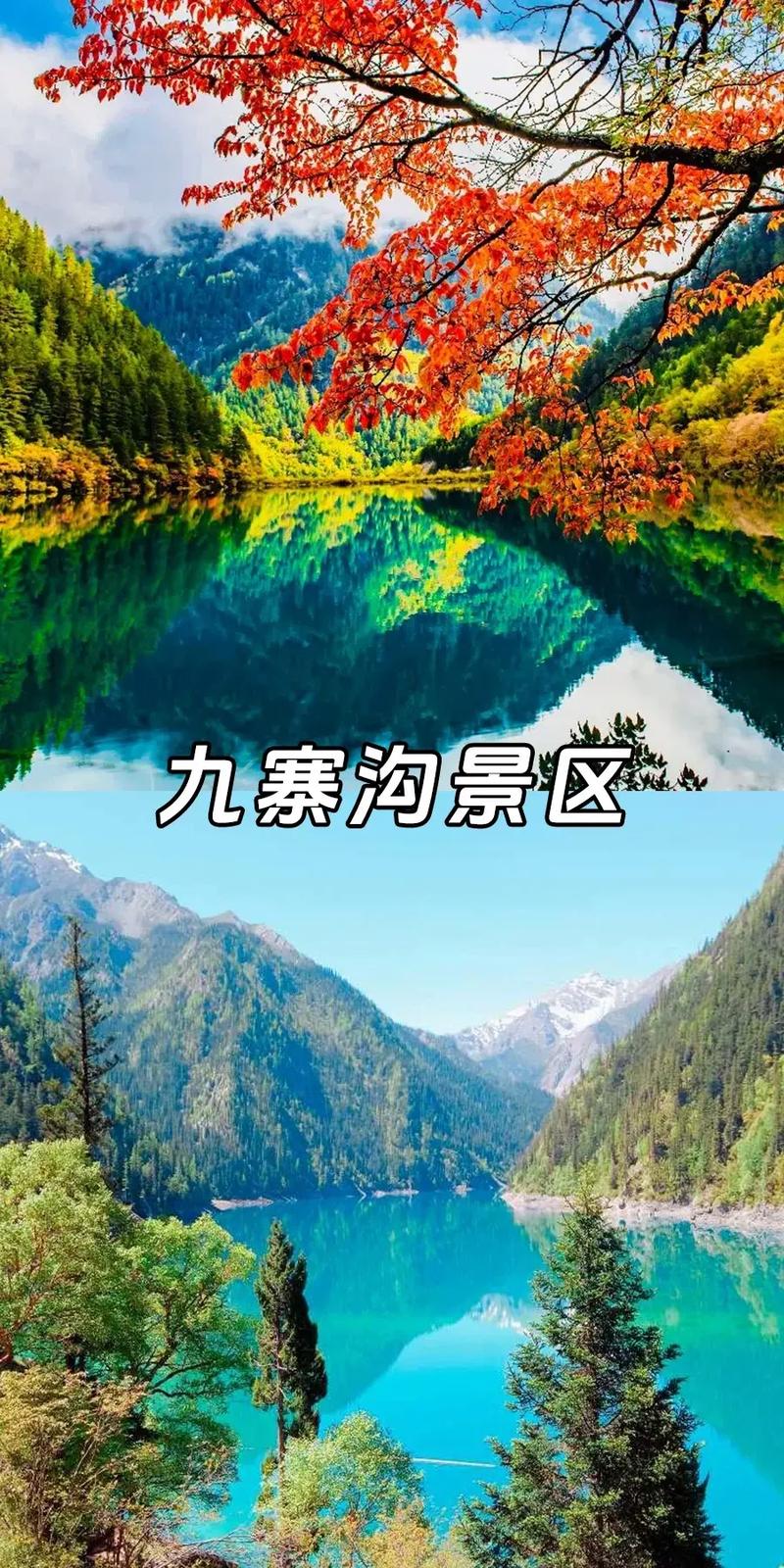 九寨后最佳旅游城市排名第几