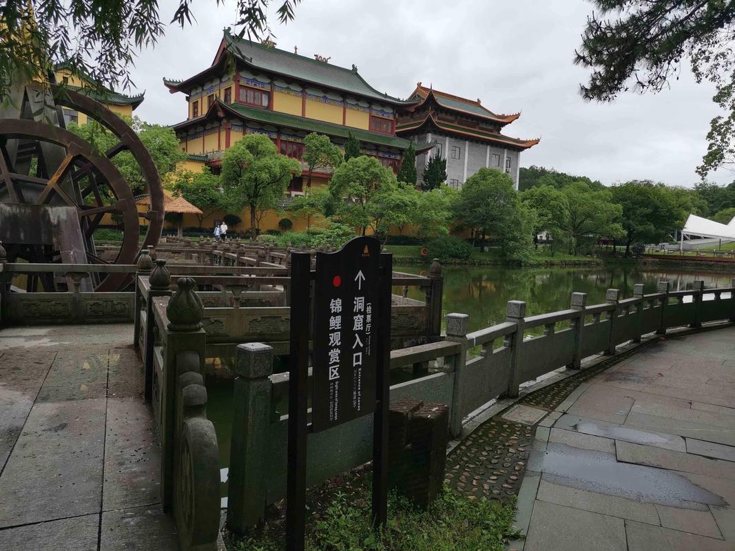 龙游哪里好玩旅游景点推荐