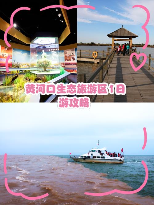 黄河口生态旅游区游玩攻略