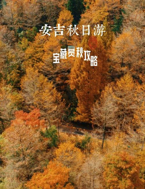 秋天自驾最佳旅游城市是哪里