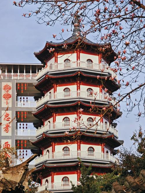 内乡旅游景点哪里最好玩的