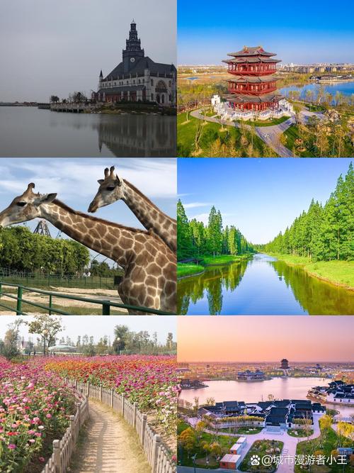 去盐城旅游景点哪里好玩一点