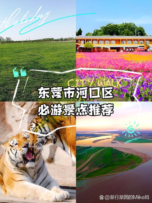 河口哪里好玩旅游景点推荐