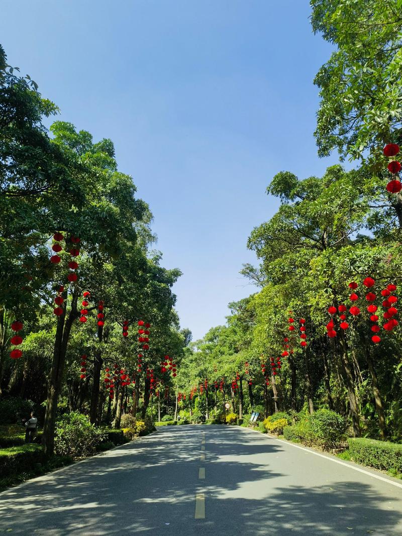 8月份广东省内最佳旅游地