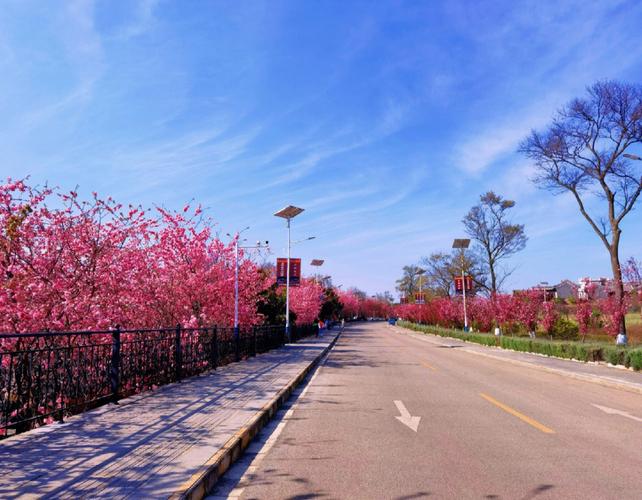 杏林旅游景点哪里好玩一点