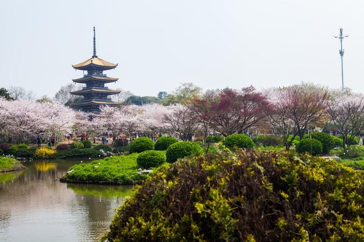 武汉离哪里近旅游景点好玩一点