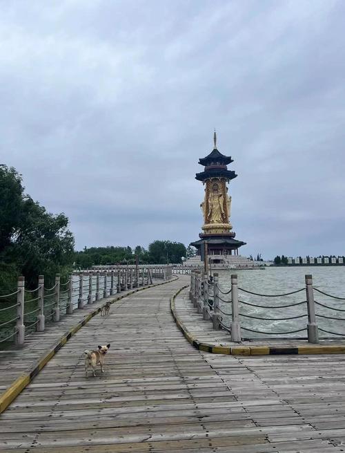 溱湖旅游景点哪里好玩的