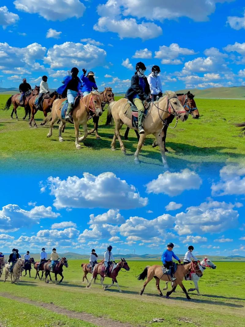 哪里旅游景点骑马最好玩的