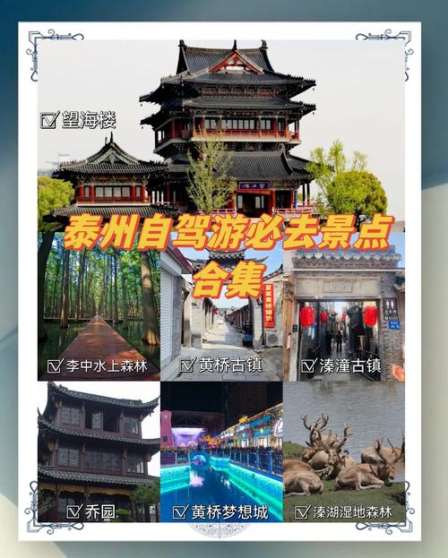 去泰州哪里旅游景点好玩一点