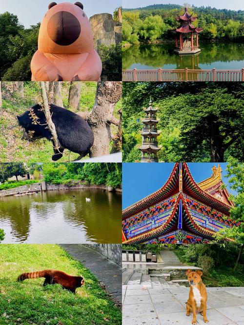合肥旅游景点去哪里好玩儿