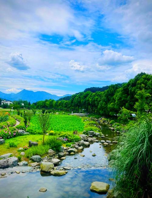 彭州旅游景点去哪里好玩儿