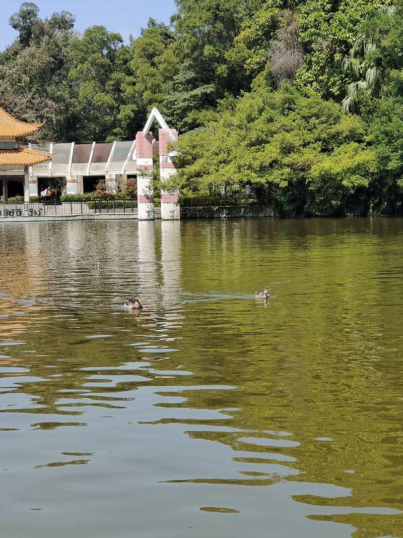 江门哪里旅游景点好玩一点