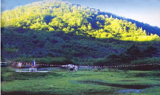 舟曲哪里有旅游景点好玩的