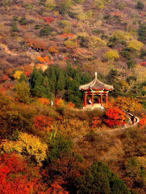 旅游景点香山在哪里好玩呢