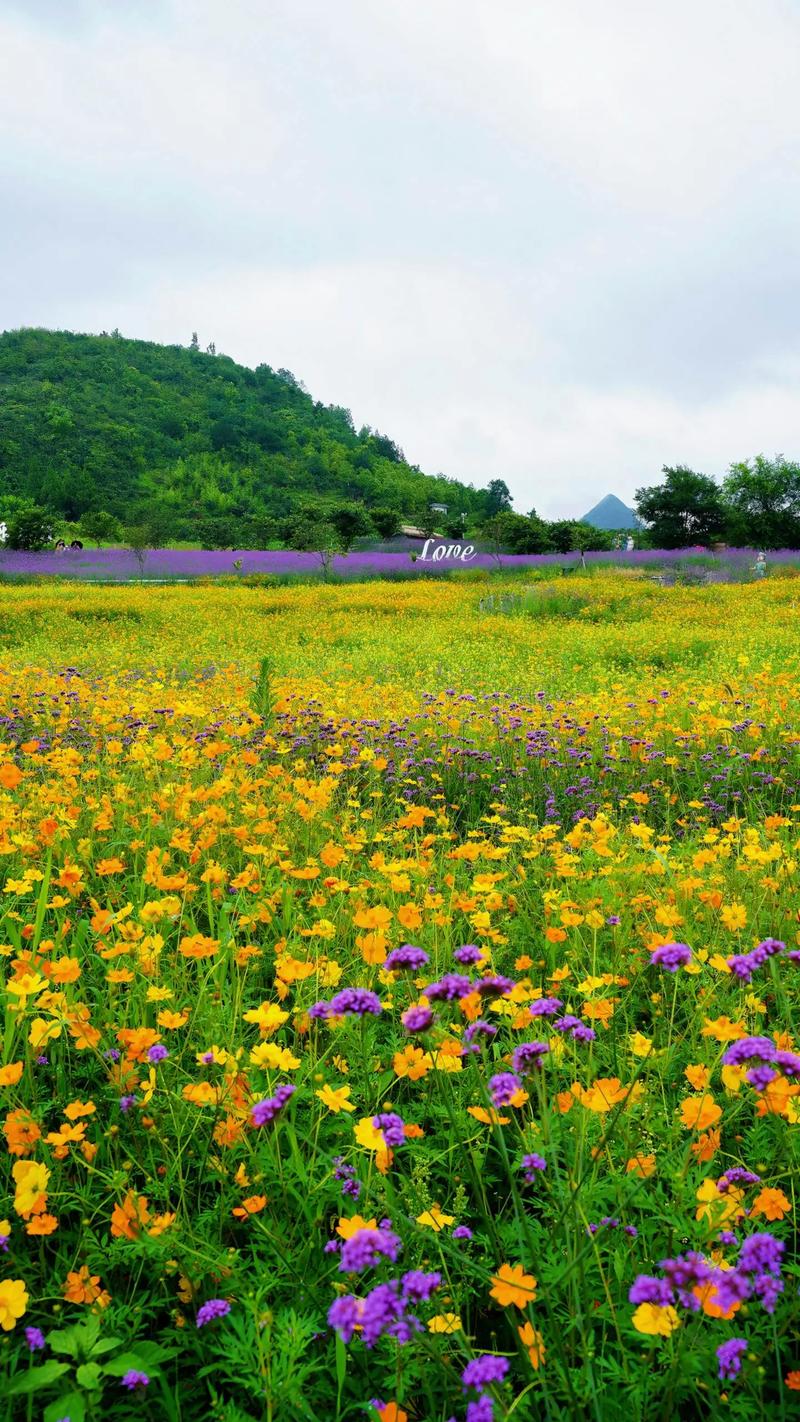 花海旅游景点哪里好玩一点