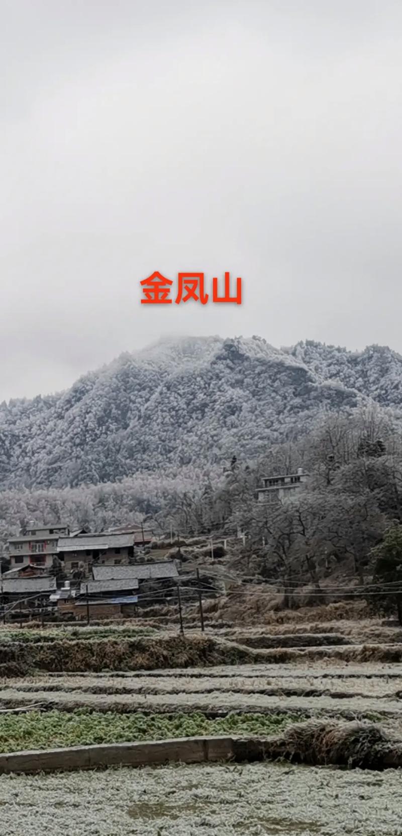 金凤附近的旅游景点哪里好玩一点