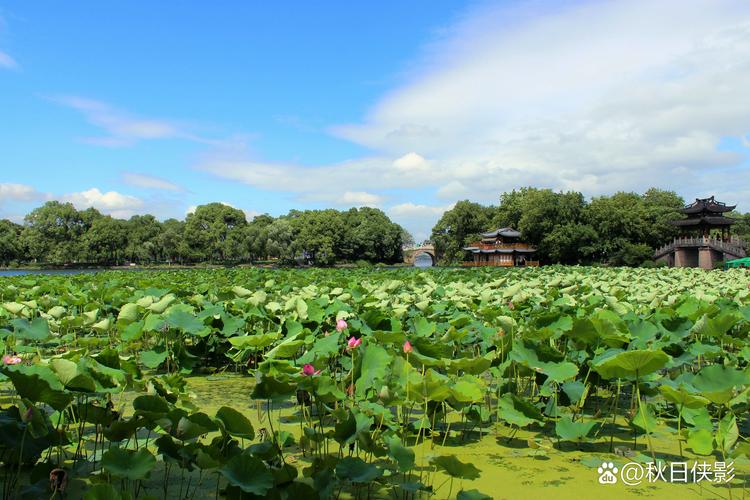 夏季去哪儿玩儿