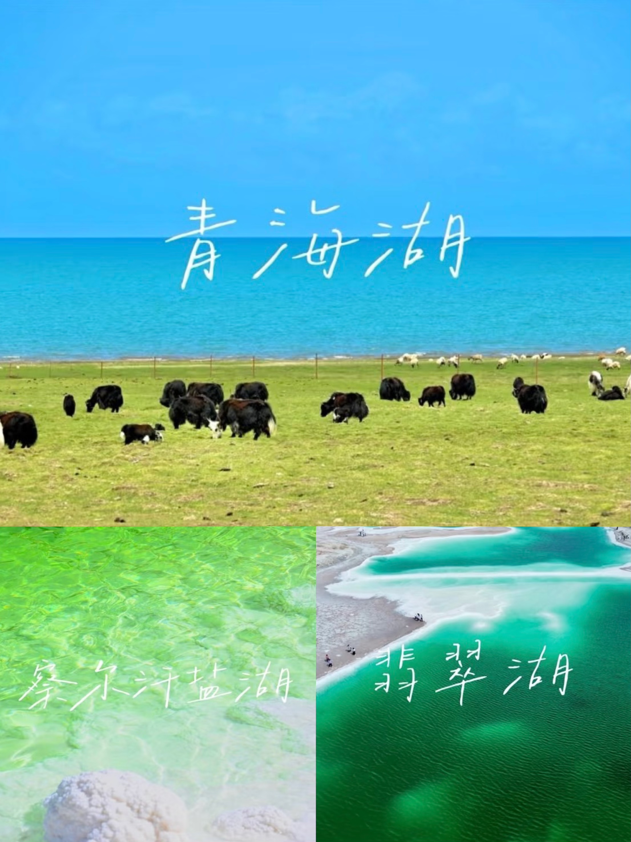 集齐我的大西北色卡（附超详细攻略）